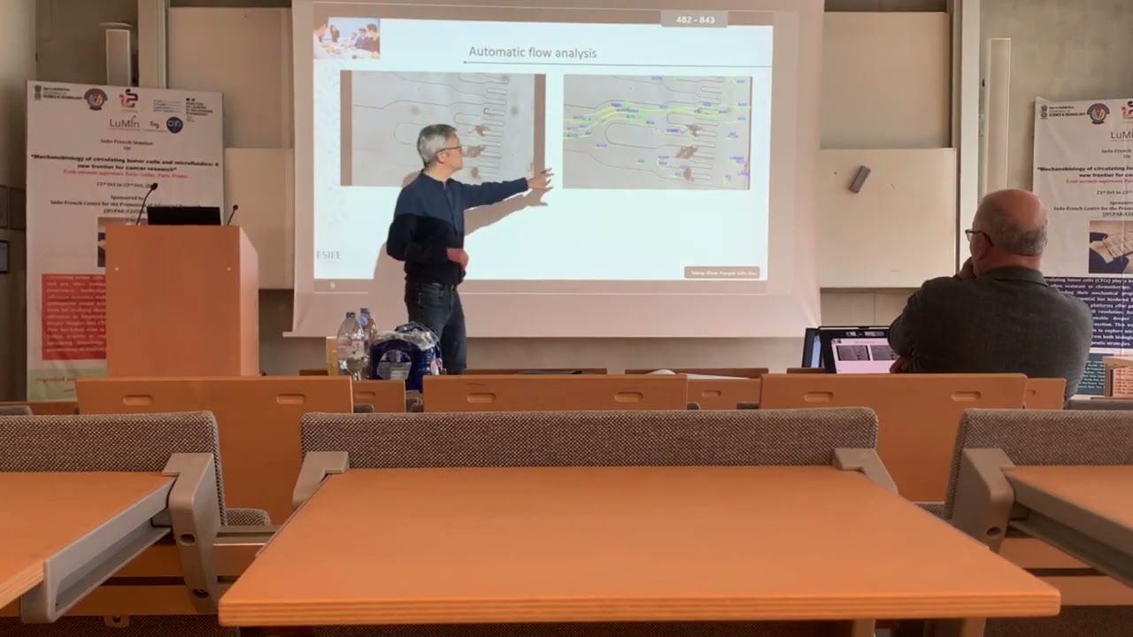 Microfluidic Chip for Blood Rheology Studies