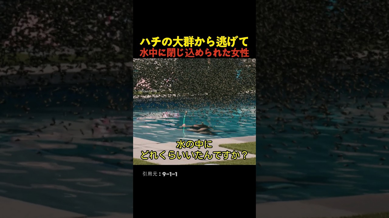 ハチの大群から逃げて水中に閉じ込められた女性