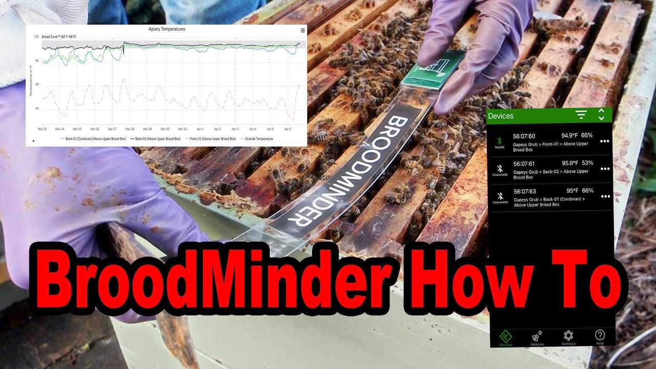 How to Setup and Use Broodminder