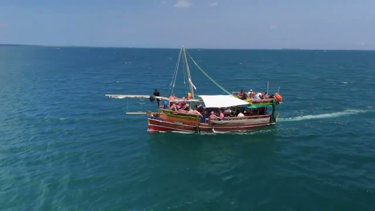 Wasini Island Dolphin 🐬 Watching Tours from Diani Beach. 
