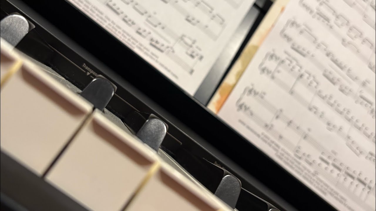 Practice in Progress (Live)