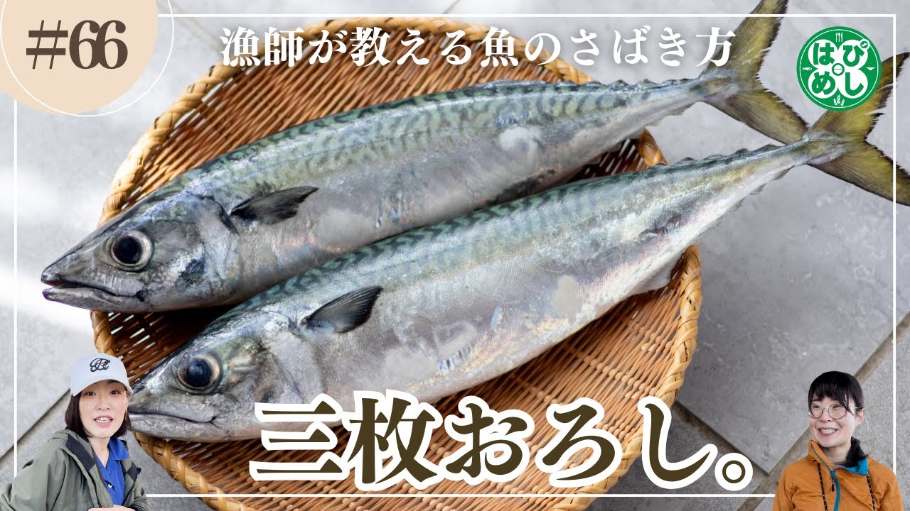 【漁師に学ぶ!!】簡単魚のさばき方(三枚おろし)　#魚の捌き方 #ミキティママ #はぴめし