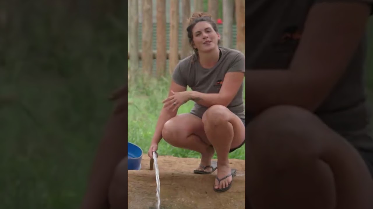 Baby Hippos Learn TO HOLD THEIR BREATH Under Water! 
