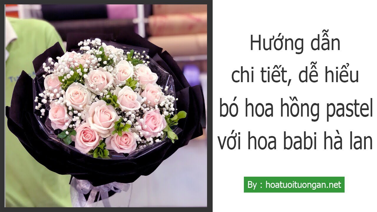 Hướng dẫn bó hoa hồng pastel với hoa baby đơn giản, dễ hiểu | hoatuoituongan.net