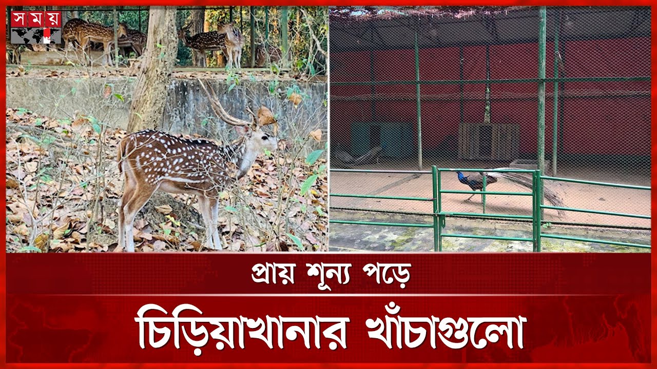 ধ্বংসের মুখে সিলেট নগরীর টিলাগড়ের ইকো পার্ক | Tilagor Eco Park | Sylhet News | Somoy TV