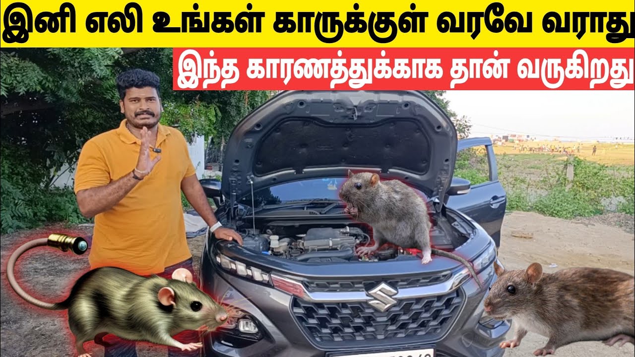 How to safe your car from rats | எலி காரில் வராமல் இருக்க? | Easy Steps
