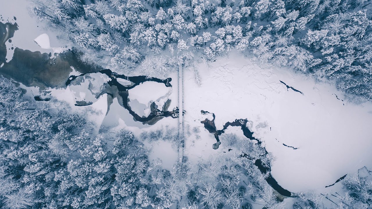 LIVE: Lumisade / Snowfall at Vaattunki Rovaniemi Lapland Finland