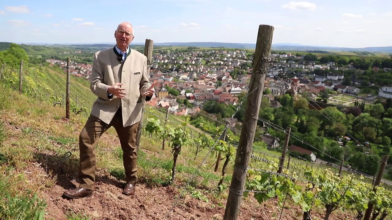 Der Weinpodcast #18 Johannisberg - Ausflug in den &auml;ltesten Weinberg des Weinguts Prinz Salm
