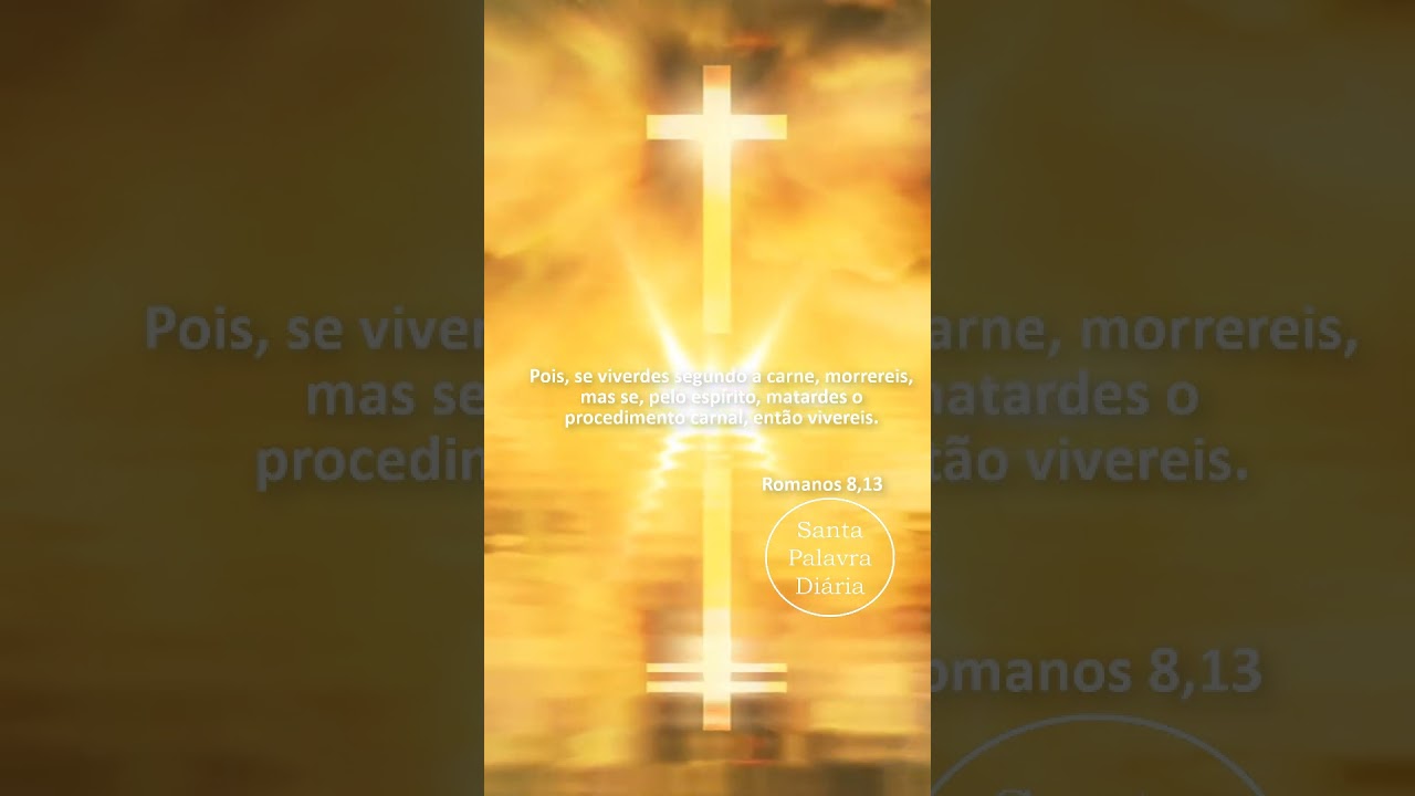 Vida no Esp&iacute;rito @santapalavradiaria #deus #ora&ccedil;&atilde;o #jesus #amor #vidadeora&ccedil;&atilde;o