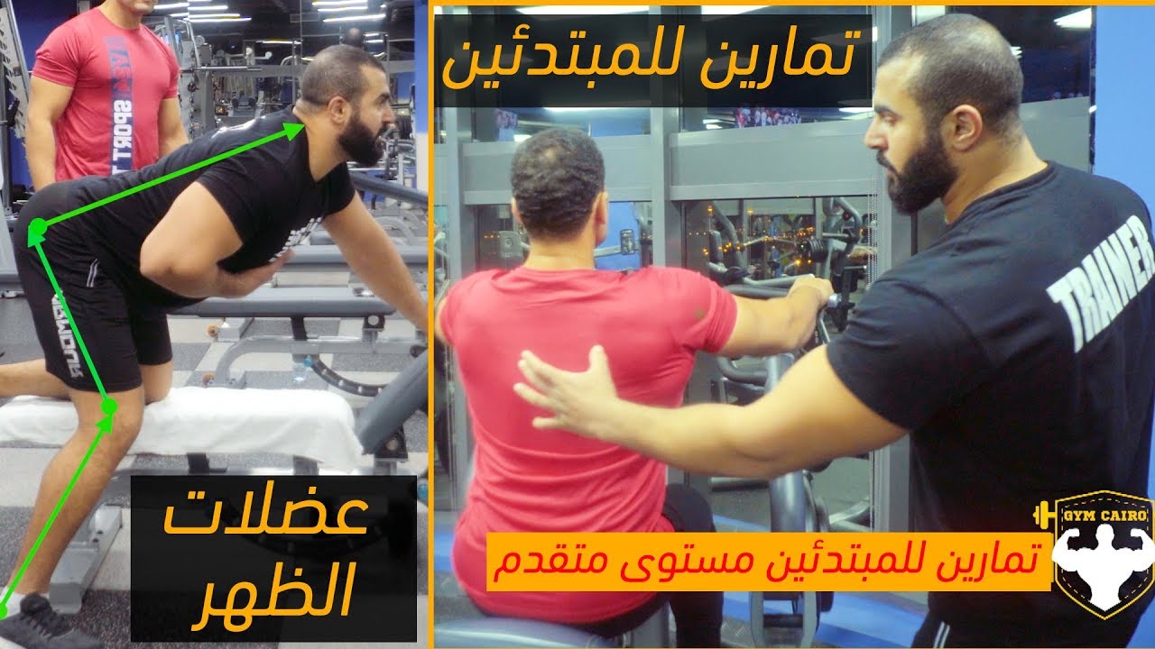 جدول تدريب للظهر كامل للمبتدئين مستوى متقدم لشد الجسم  وتقوية العضلات للرجال والنساء gym Cairo