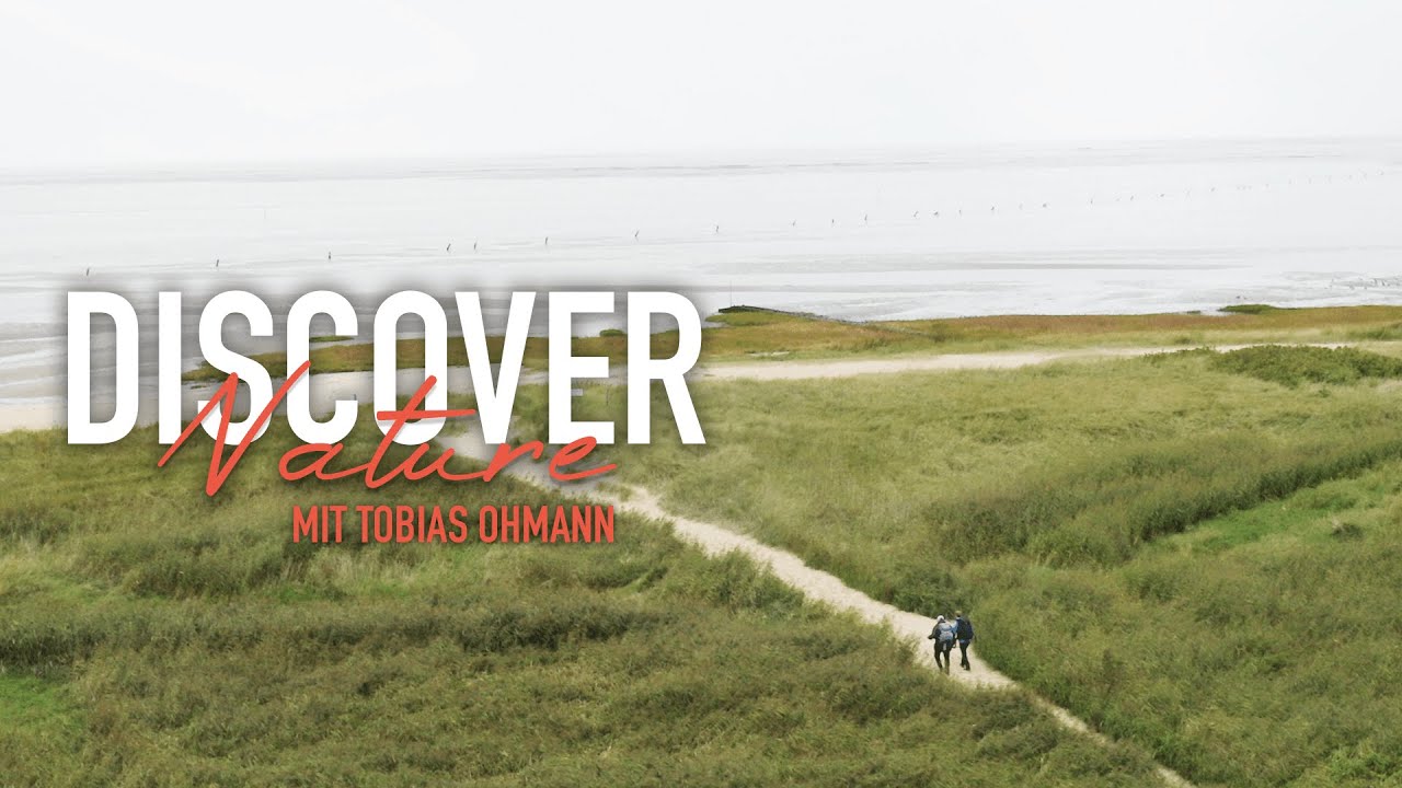 Auf Wattwanderung an der Nordseeküste -  Discover Nature mit Tobias Ohmann - S1E06