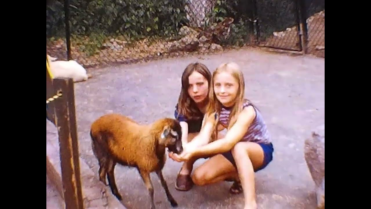 Animal Habitat W  Milford NY and Swimming Jul 1974