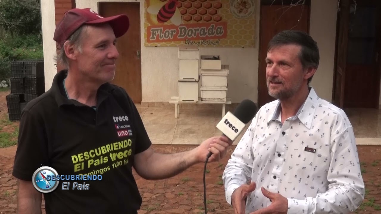 Nueva Alborada Itapúa Producción de Miel - DESCUBRIENDO EL PAIS CANAL TRECE