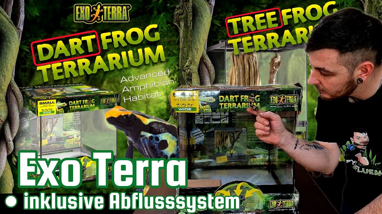 Das Exo Terra - Dart Frog & Tree Frog - Terrarium