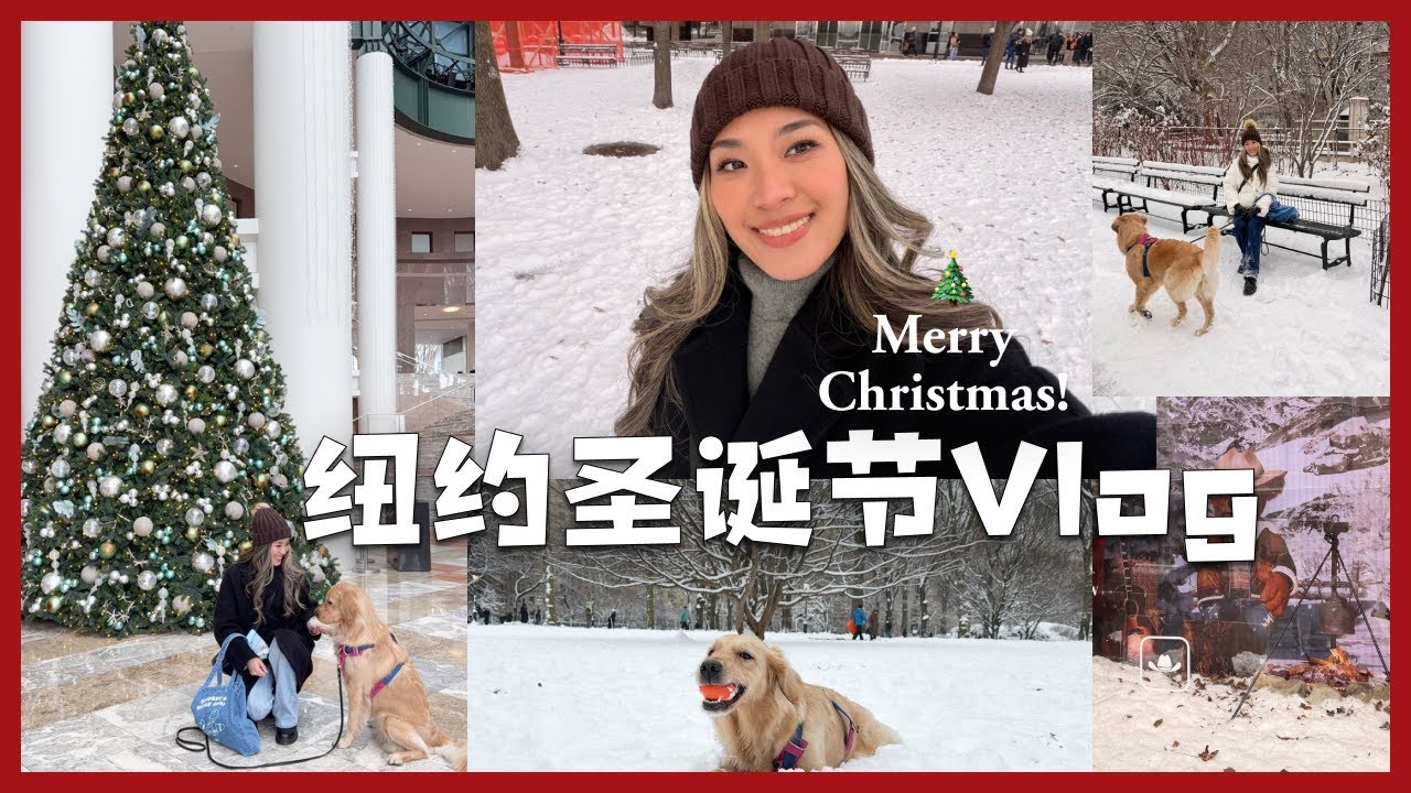 Living in New York｜Christmas｜2026第一支Vlog🎄作为纽约local的第一个圣诞｜暴风雪后的中央公园｜Chinatown必吃分享｜华尔街铜牛｜坐船去看自由女神