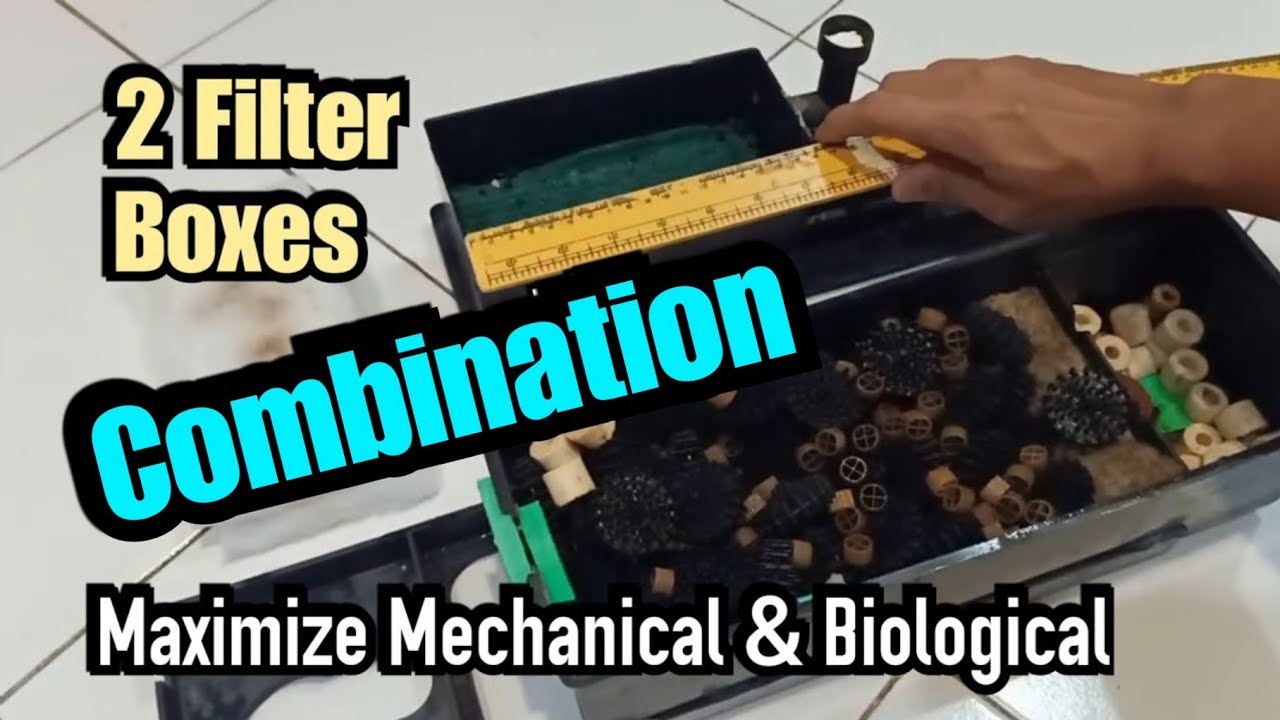 Dua Box Digabung | Modifikasi Box Filter Aquarium | aquarium filter modification
