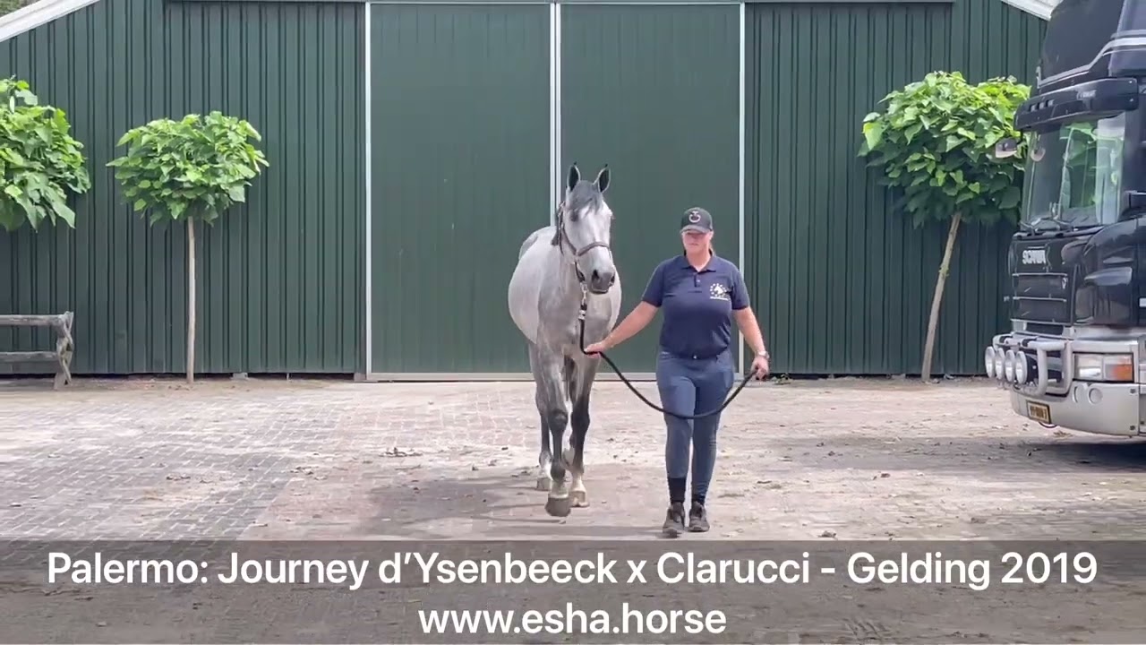 Palermo: JOURNEY D'YSENBEECK x CLARUCCI