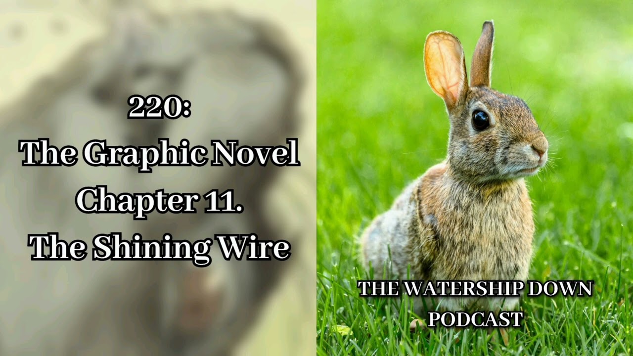 220: The Graphic Novel Chapter 11. The Shining Wire
