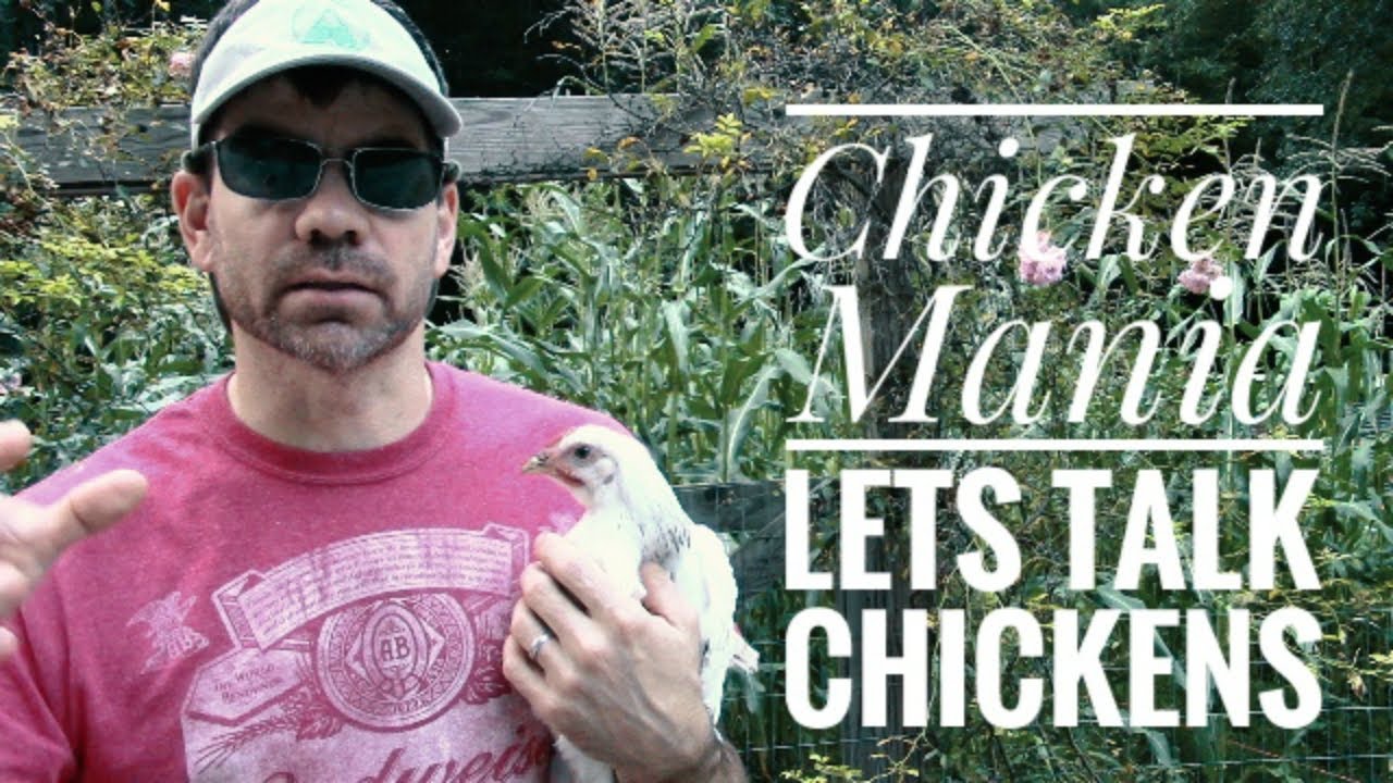 RAISING CHICKENS 101