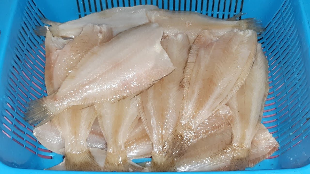 أسرع طريقة لتنضيف سمك صول مع المحافظة على شكل 👌 /comment nettoyer poisson sole/