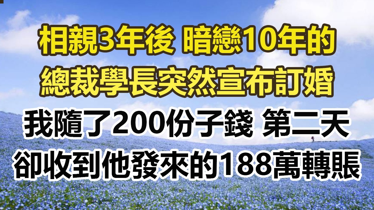相親3年後 暗戀10年的，總裁學長突然宣布訂婚，我隨了200份子錢 第二天，卻收到他發來的188萬轉賬#幸福敲門 #為人處世 #生活經驗 #情感故事