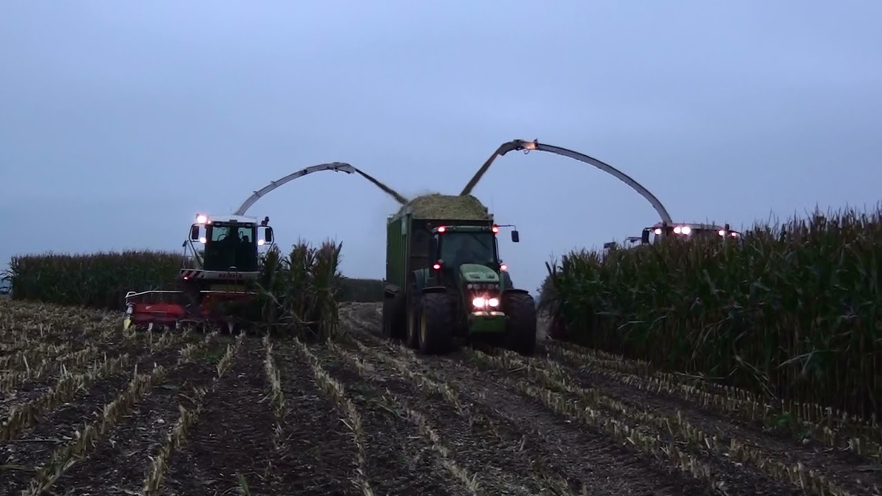 Mais Hakselen 2015 : Egide London, 2X Claas Jaguar, 8X John Deere, Teuven Part 2