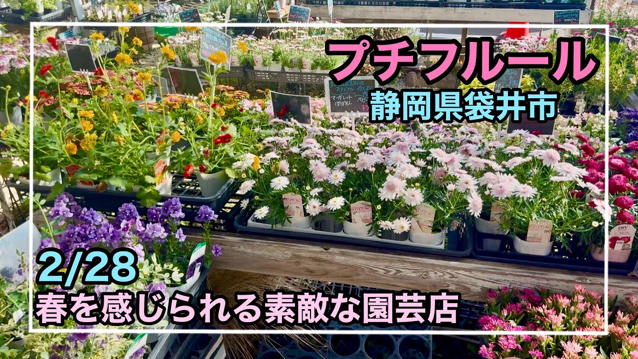 ［園芸店］静岡県袋井市にあるプチフルールへ行ってきました。店内はとても春でした