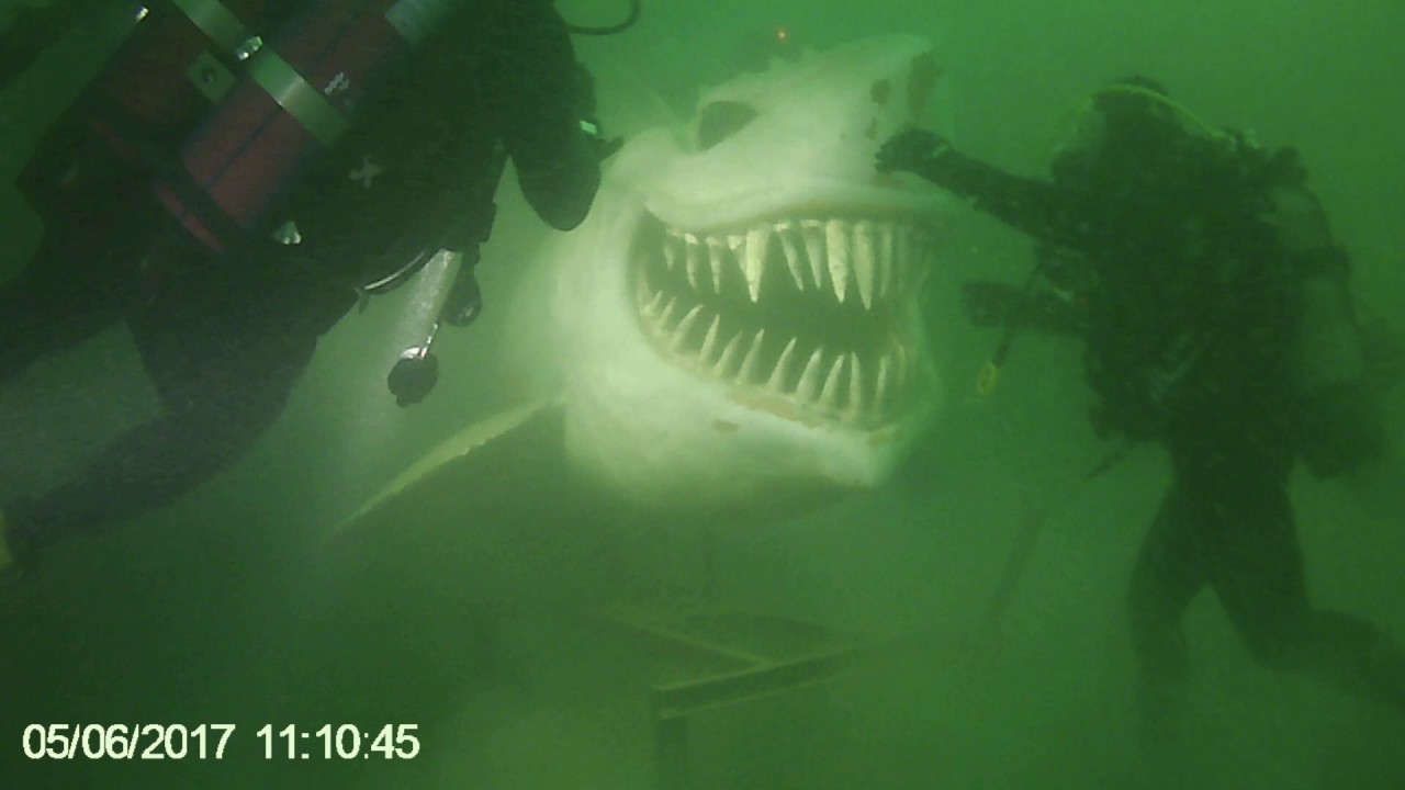 Requin Lac Neuchatel juin 17