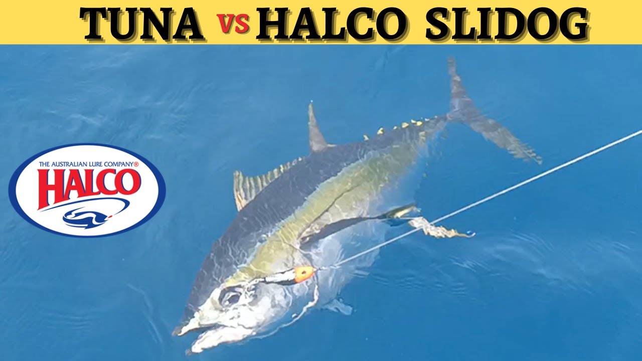 TUNA vs HALCO SLIDOG | Epic Adventure Trip part 2