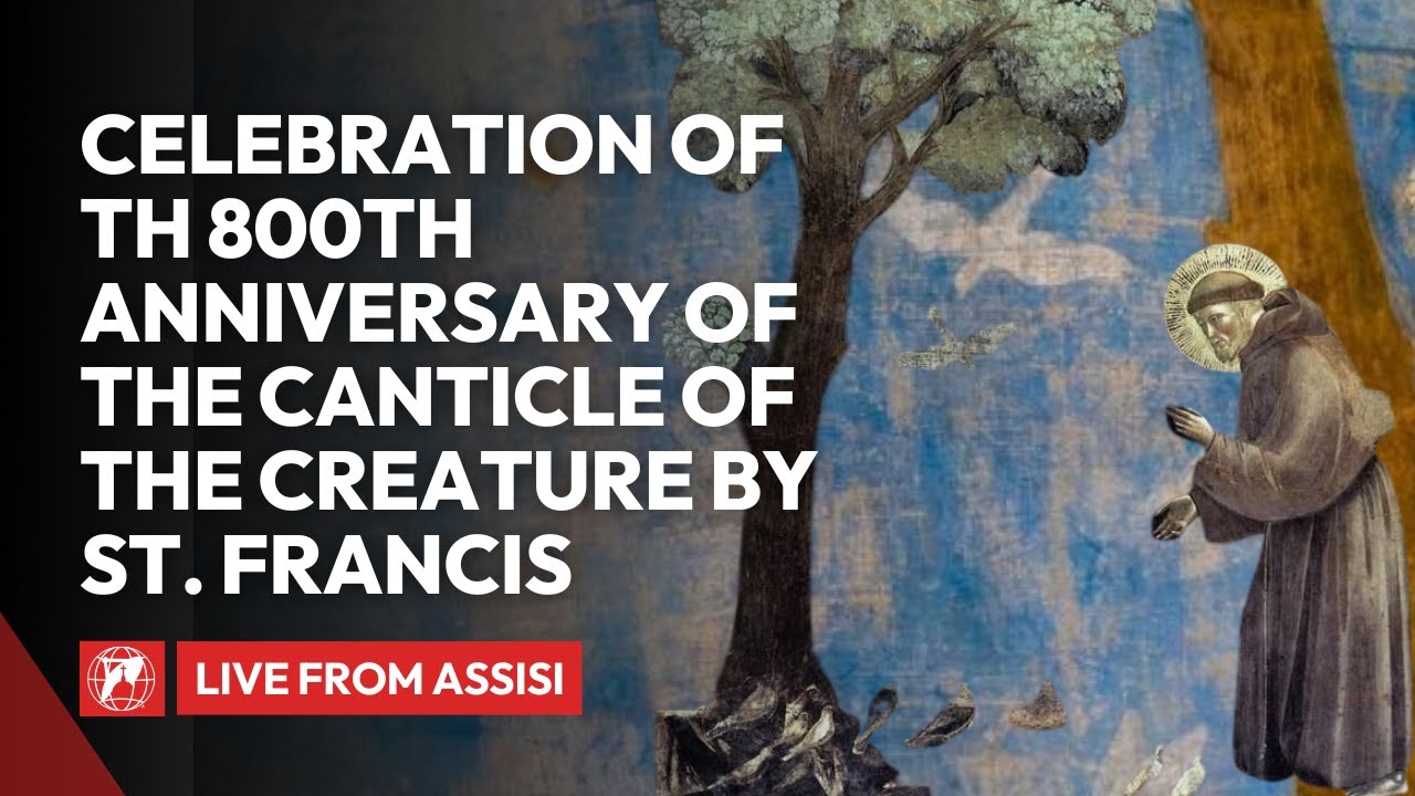 LIVE: 800th Anniversary of the Canticle of the Creatures – A Historic Celebration from Assisi
