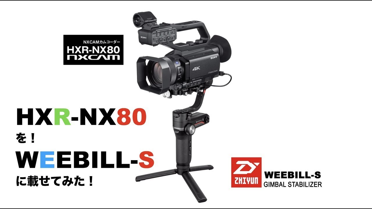 HXR-NX80 & WEEBILLS