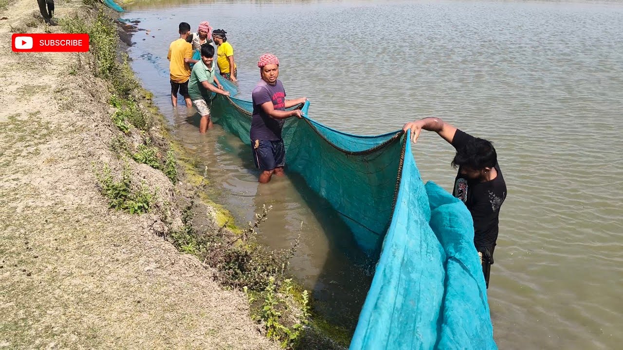 আজকের বিভিন্ন রকমের মাছ ধরলাম   | #fishing #village #video #youtubevideo #viralvideo #fish 
