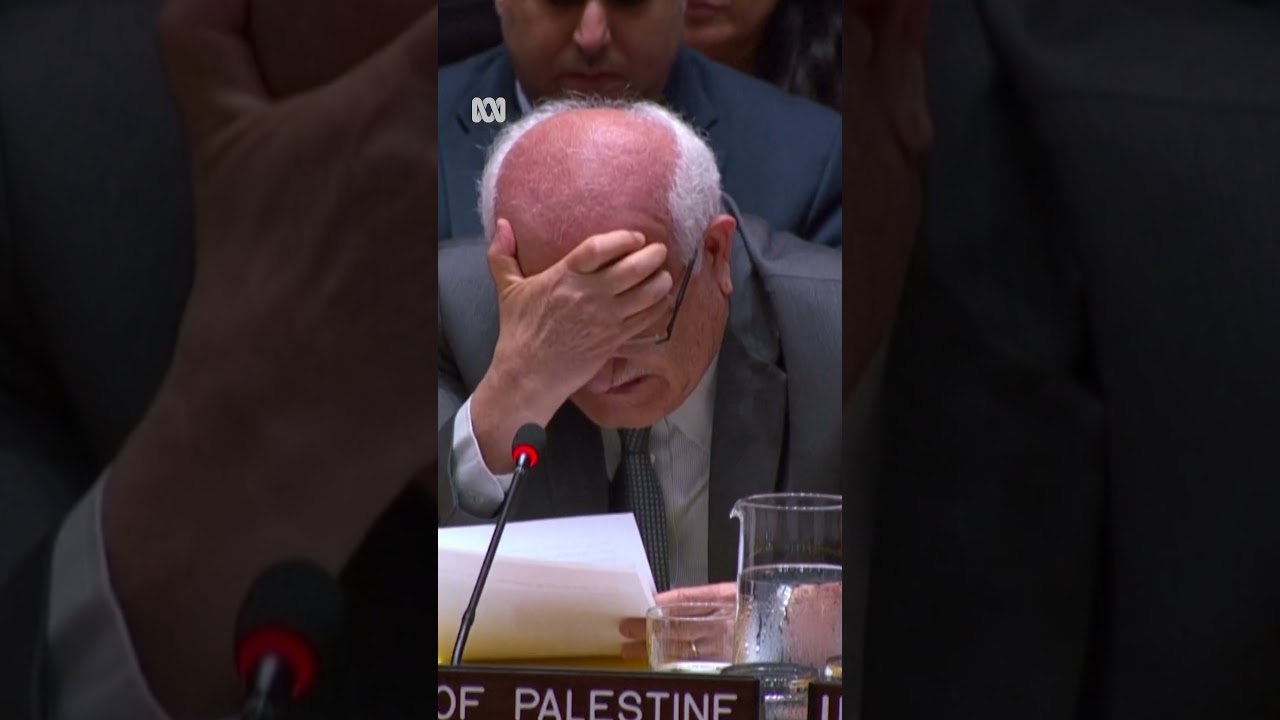 Palestinian UN envoy in tears over deaths of Gazan children | ABC NEWS