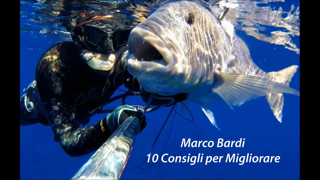 Pesca sub 10 consigli