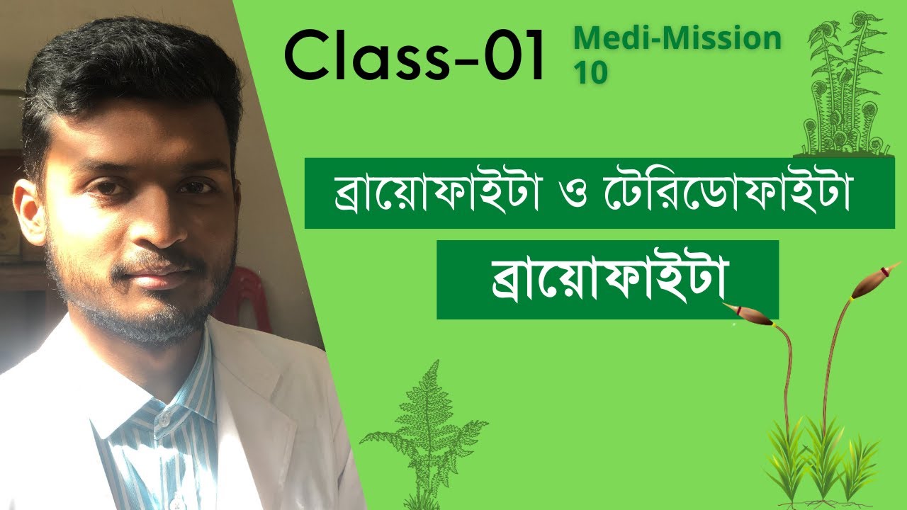 MediMission-10: ব্রায়োফাইটা ও টেরিডোফাইটাঃ ব্রায়োফাইটা