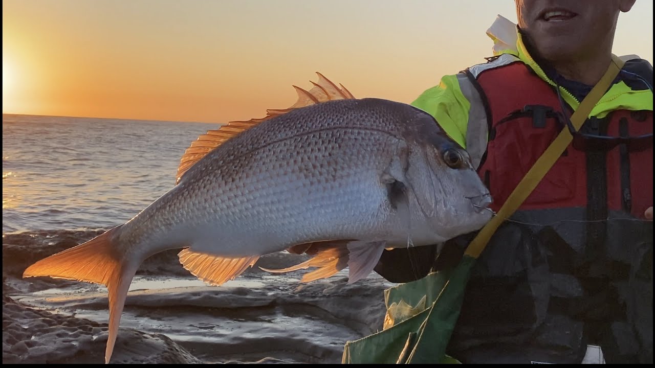 I'm Back With A BIG SNAPPER | Caught a lot of FISH | Enjoy !