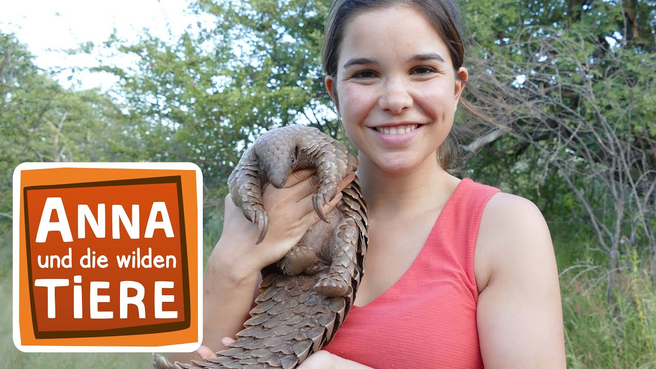Das Tannenzapfentier | Reportage für Kinder | Anna und die wilden Tiere
