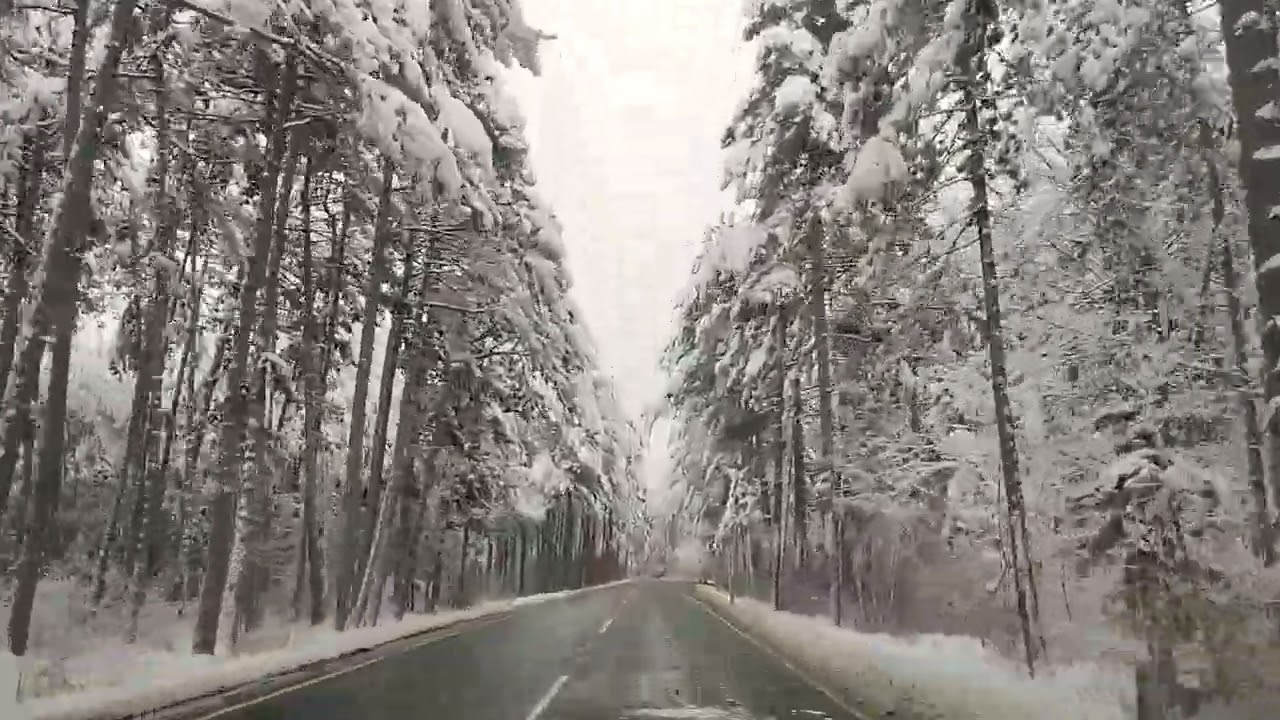 Autofahrt durch den Schnee Wald im BMW ist Hinterradantrieb besser oder Vorderrad Fahrzeug im Winter