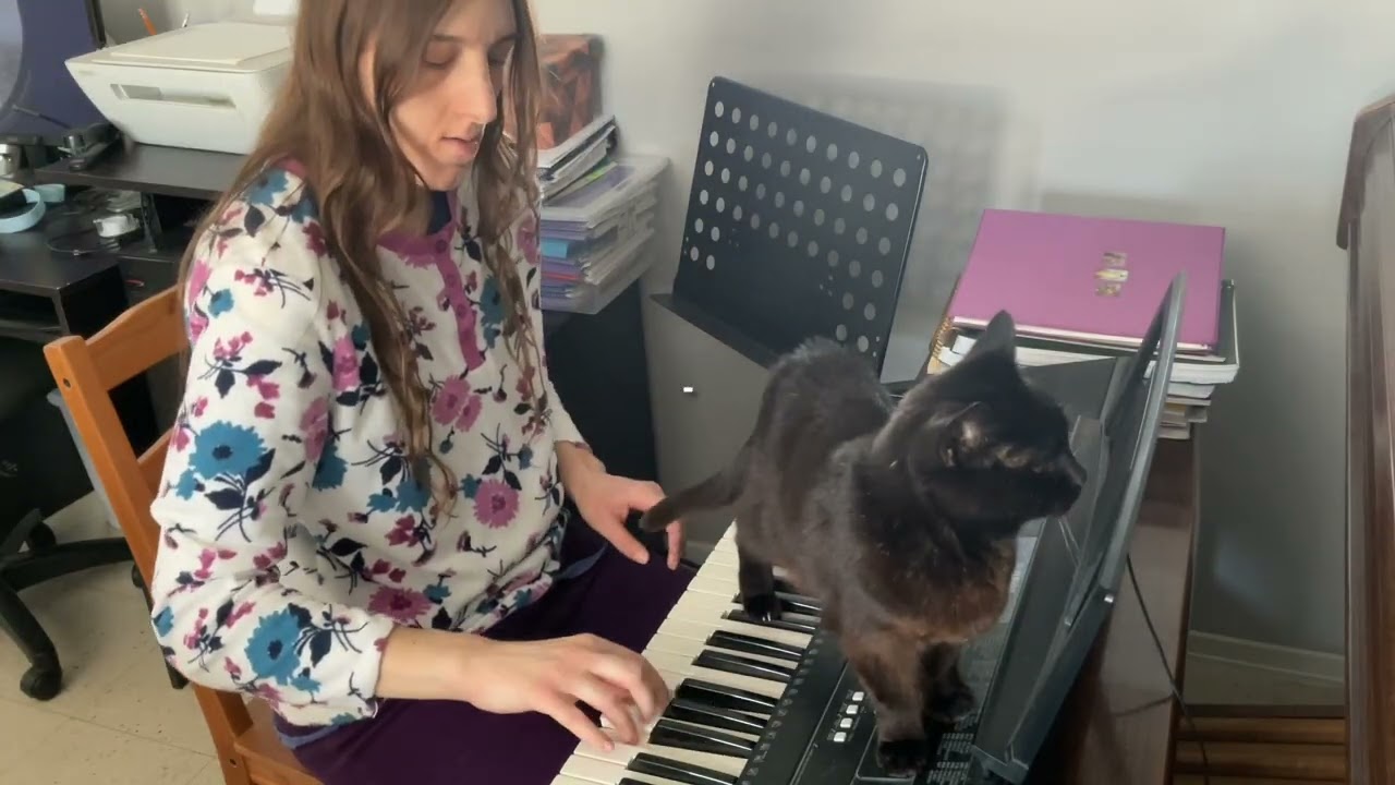 Cat Loves Music Practice