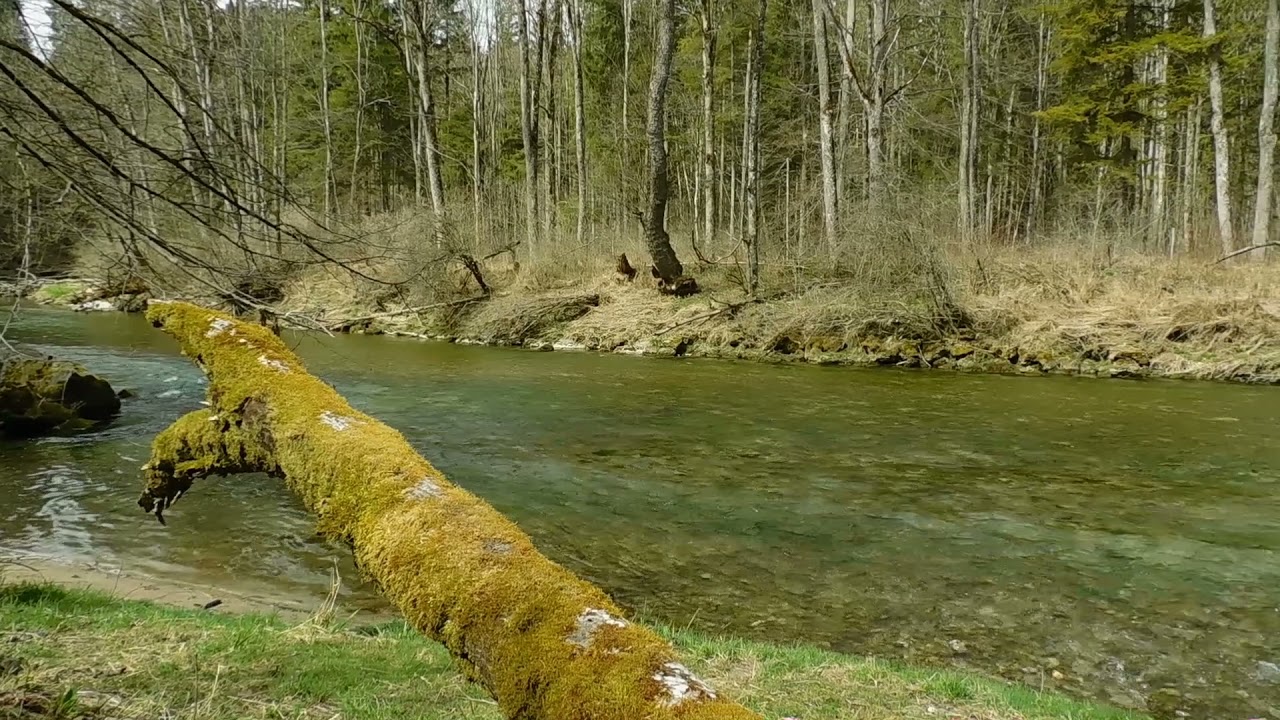 11.04.2021 - Die Mangfall im M&uuml;hltal  - Річка Мангфаль, Мюльталь - The Mangfall river, Bavaria
