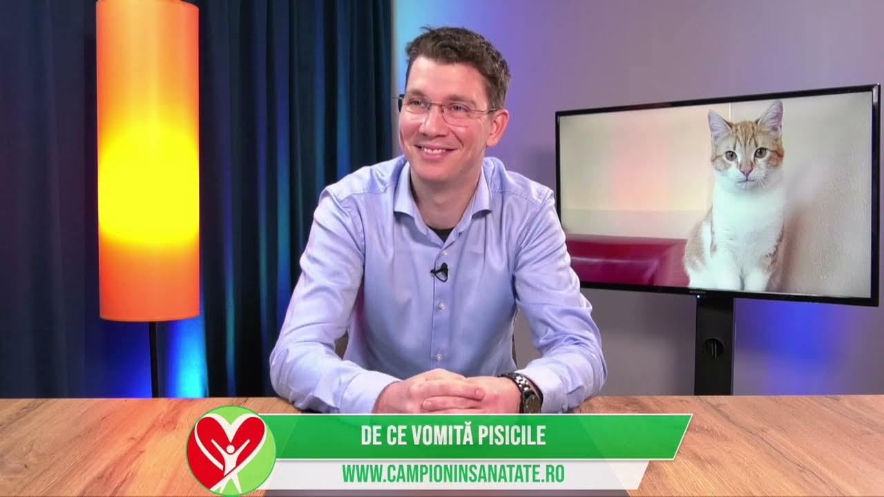 DE CE VOMITA PISICILE: DR. ALEXANDRU NEACSU - MEDIC VETERINAR