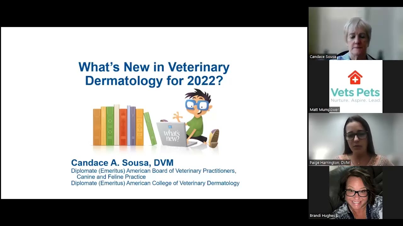 Whats New In Veterinary Dermatology For 2022