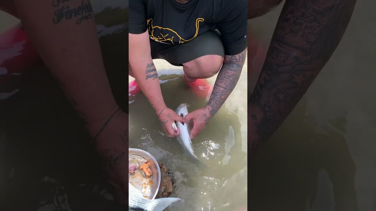 I grew up around the water in Tonga but I didn’t learn how to gut a fish until last year