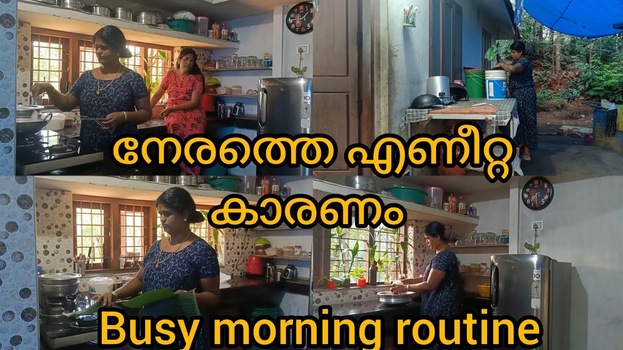 കാരണങ്ങൾ ഉണ്ടെക്കിൽ പിന്നെ കാര്യങ്ങൾഇങ്ങനെയാണ്/ചക്കപ്പം/busy morning routine/daily vlog/nadan life/