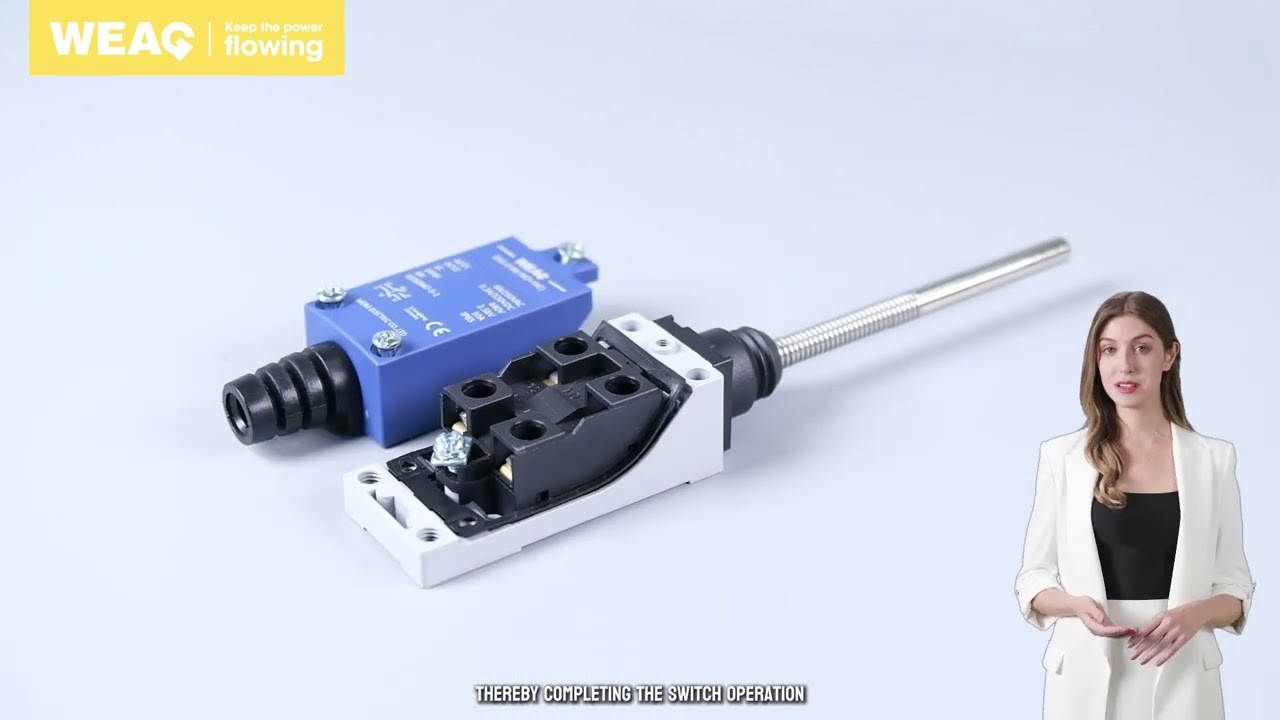 Discover the Versatile EAX8168 Limit Switch with Spring-Loaded Metal Rod.