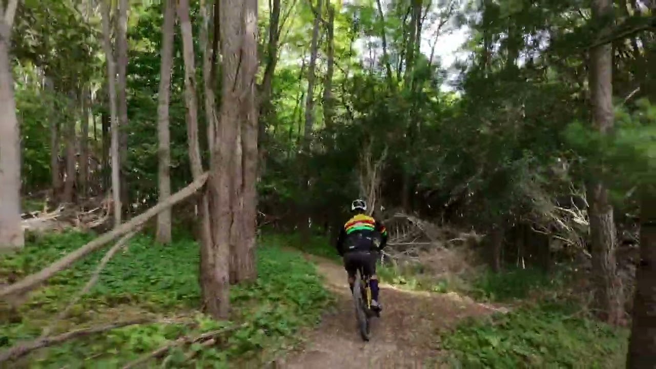 Don Valley Trail - Trash Panda