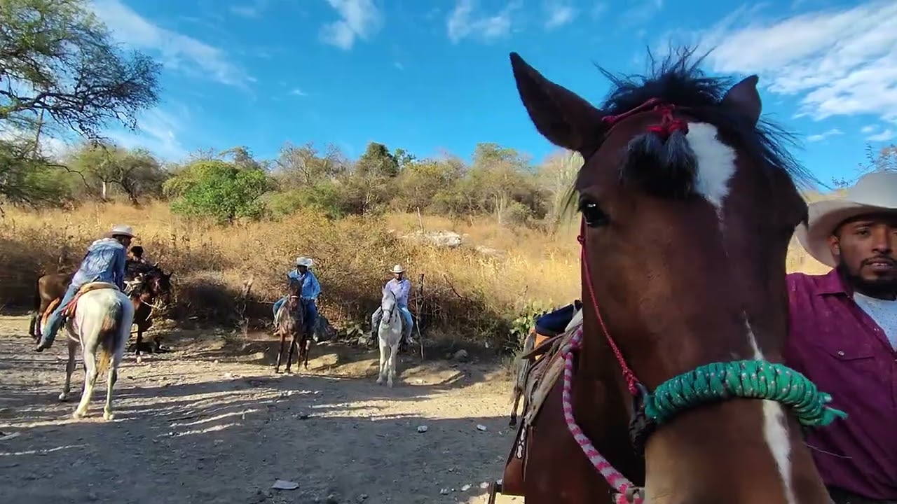 Usos y costumbres Guadalupe hidalgo zacapala pue 11/01/26.