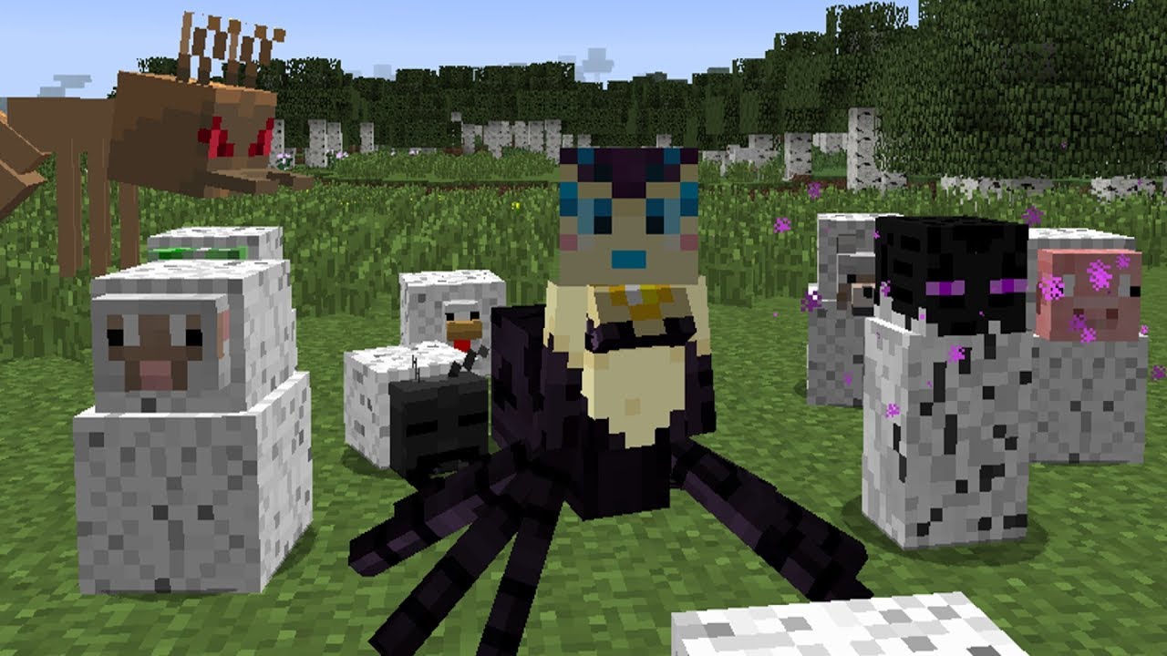 PÓK KIRÁLYNŐ!!! Bebábozok mindenkit IS! 🕷