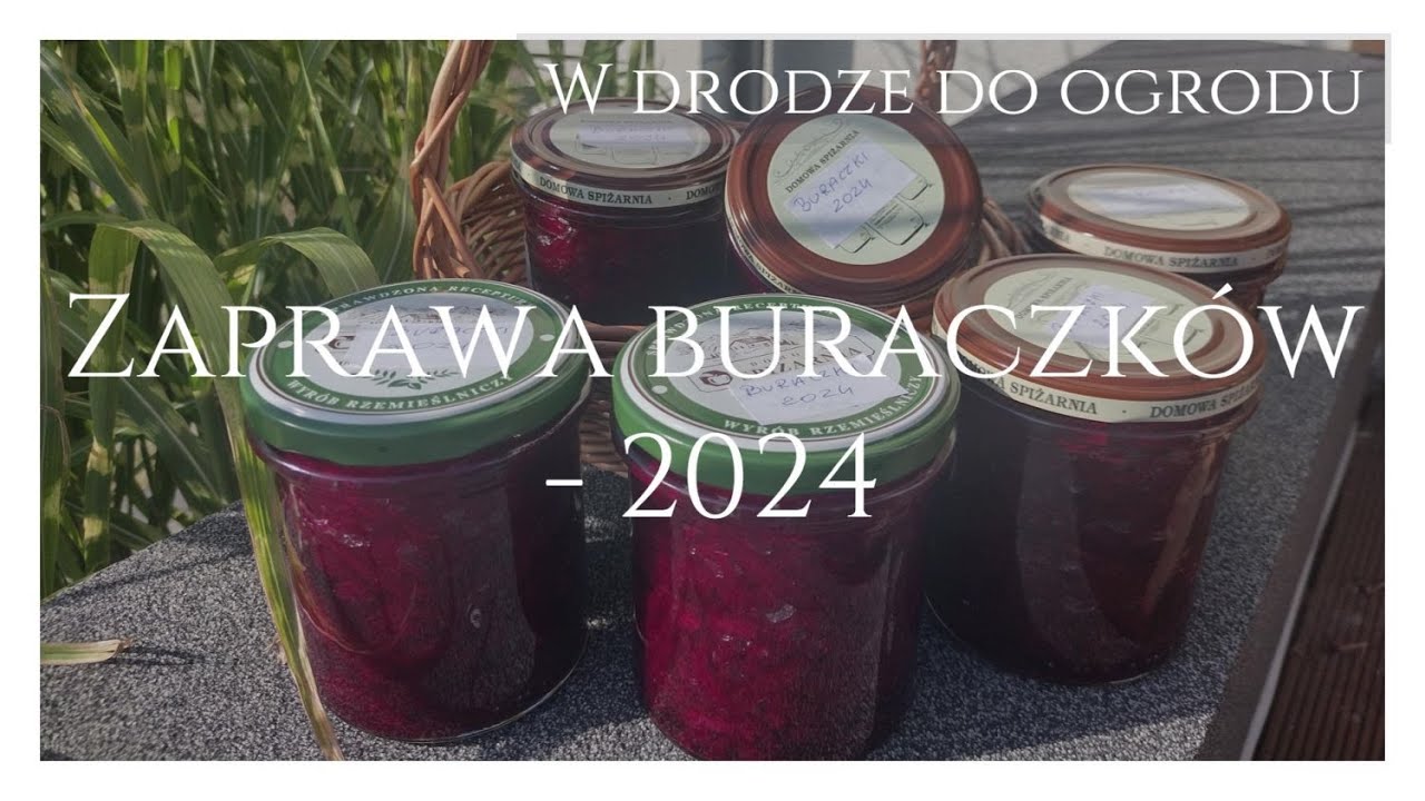 Zaprawa buraczków   2024