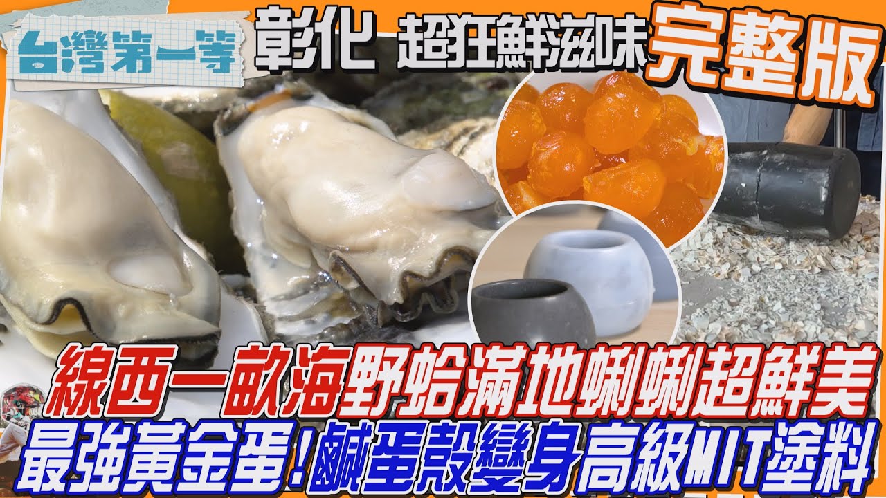 [全新] 彰化【線西一畝海